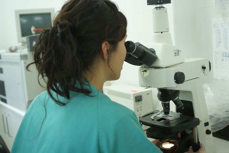 Una trabajadora del CERI estudia unas muestras en el microscopio.