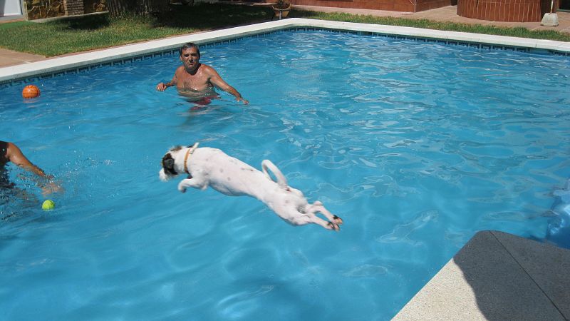 Veloz como una pelota de tenis.