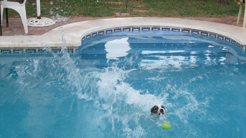 Como Nadal, Pancho no da una pelota por perdida.