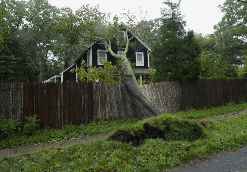 Un árbol  caído sobre una casa por efecto del huracan en Long Island , Nueva York