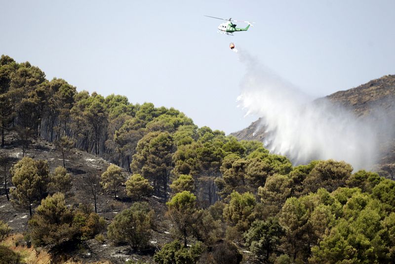 El fuego quema más de 400 hectáreas