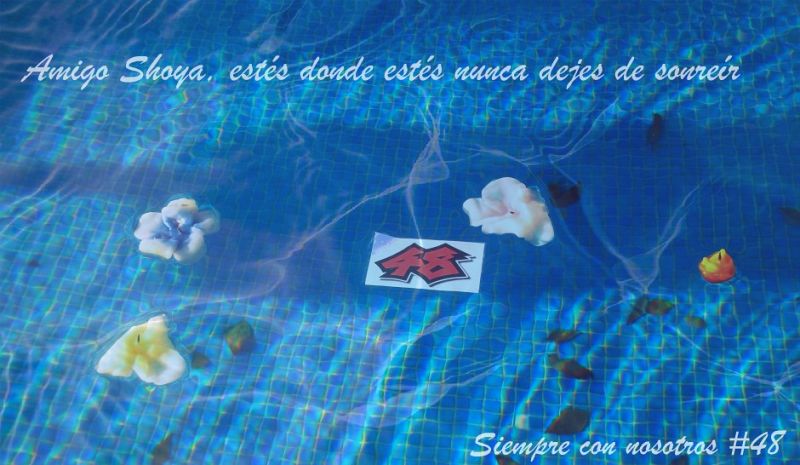 Consigue uno de los 5 tapices homenaje a Tomizawa