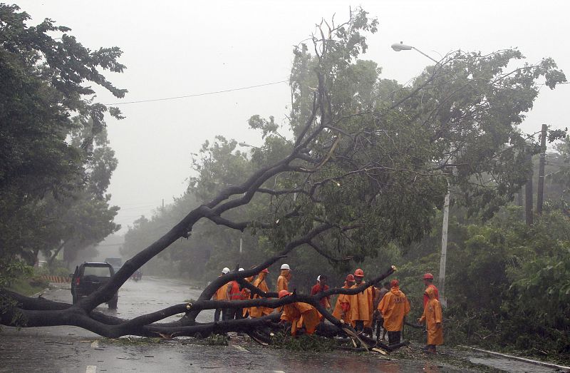 Trabajadores filipinos intentan quitar de la calle un arbol arrancado en Manila