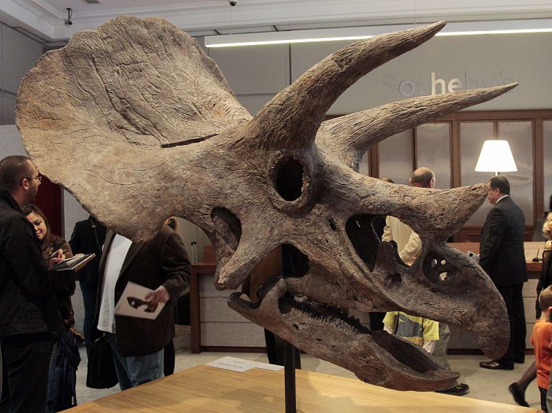 FRANCE-PALEONTOLOGY-DINOSAUR-AUCTION