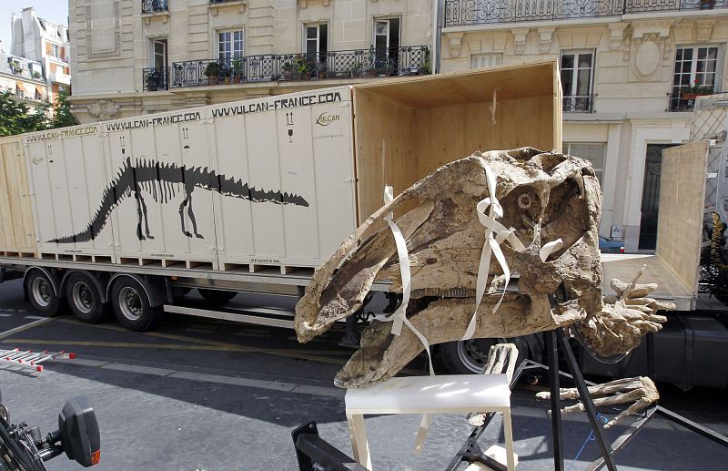 FRANCE-PALEONTOLOGY-DINOSAUR-AUCTION-FILES