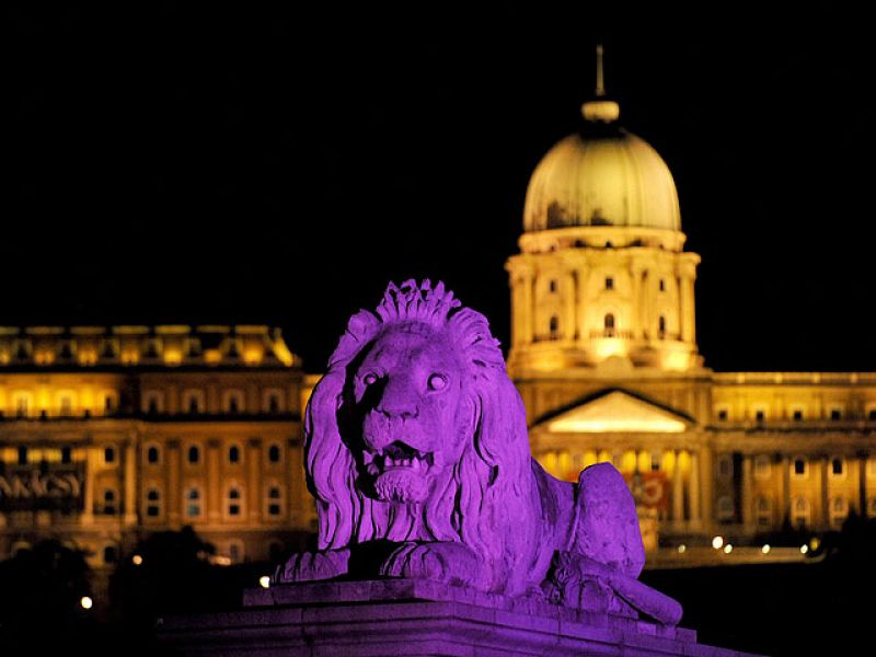 Vista de uno de los leones del puente de las Cadenas de Budapest iluminado en rosa.