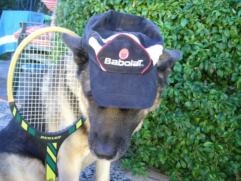 Manda tu mejor foto de tenis.