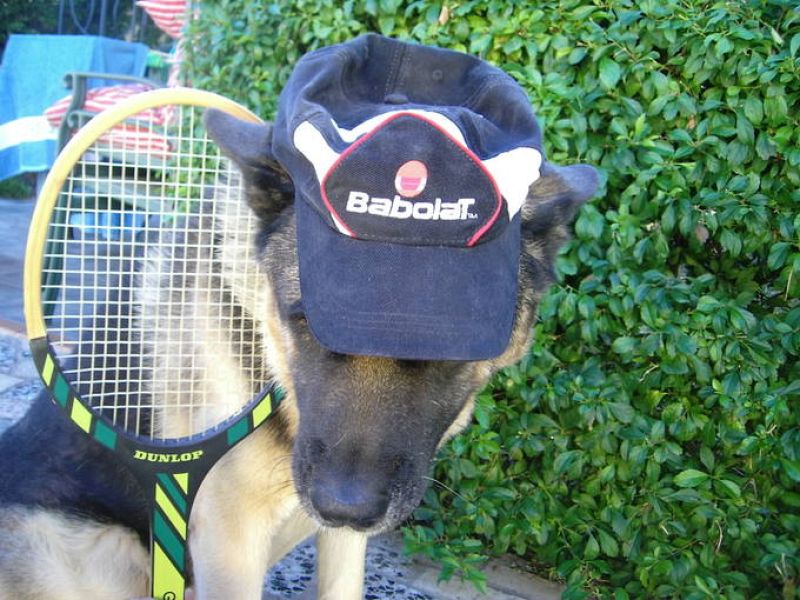 Manda tu mejor foto de tenis.