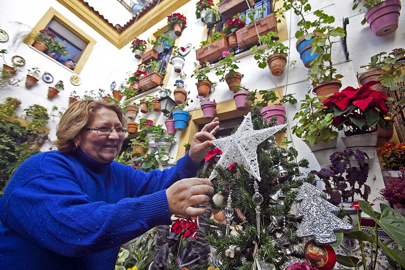 LOS PATIOS CORDOBESES CAMBIAN GITANILLAS Y GERANIOS POR PASCUEROS DE NAVIDAD