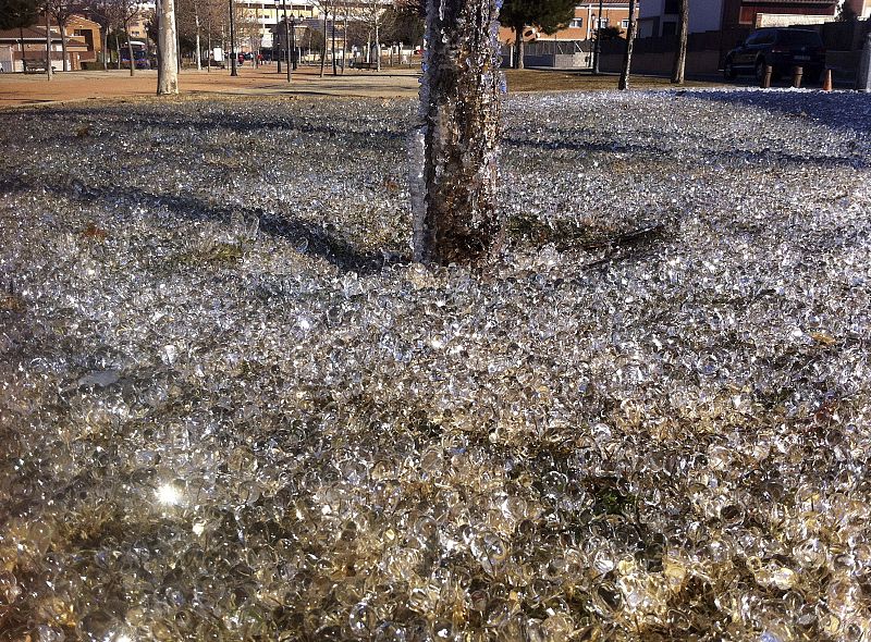 CONSECUENCIAS DE LA OLA DE FRÍO