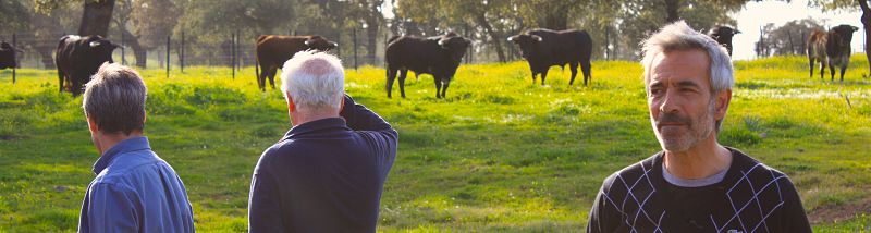 Las mejores imágenes de 'Un país para comérselo' en Sevilla