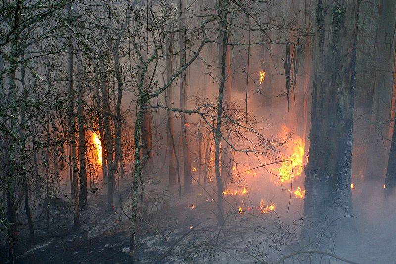 Más de 20 brigadas forestales trabajan con apoyo de helicópteros y aviones.
