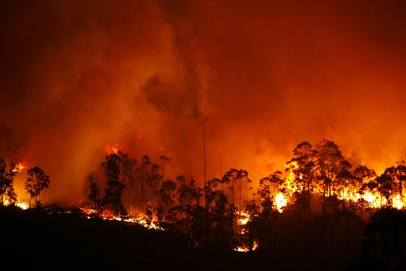 El fuego ha arrasado más de 500 hectáreas.