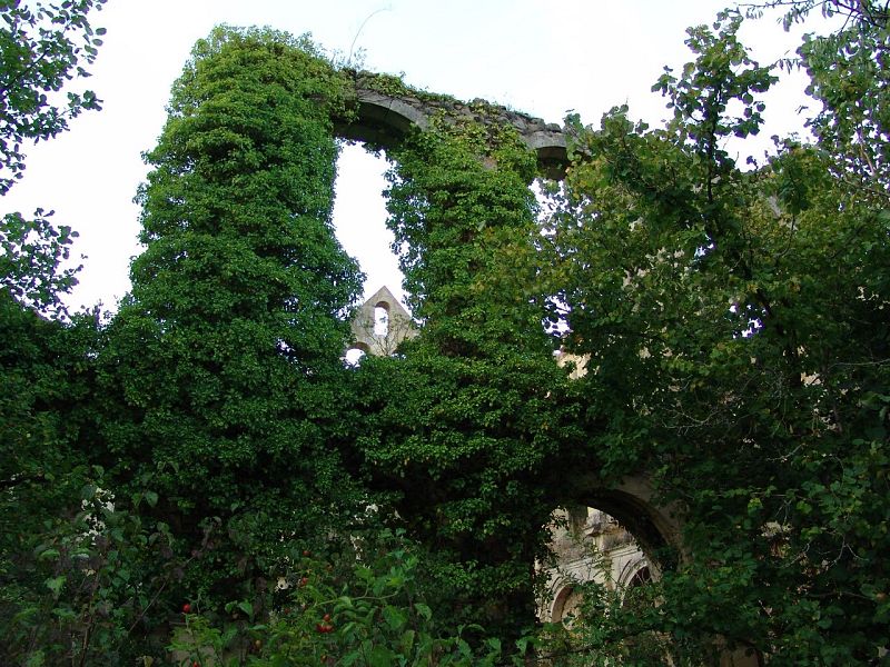 claustro del Monasterio de Rioseco en el Valle de Manzanedo (Burgos)