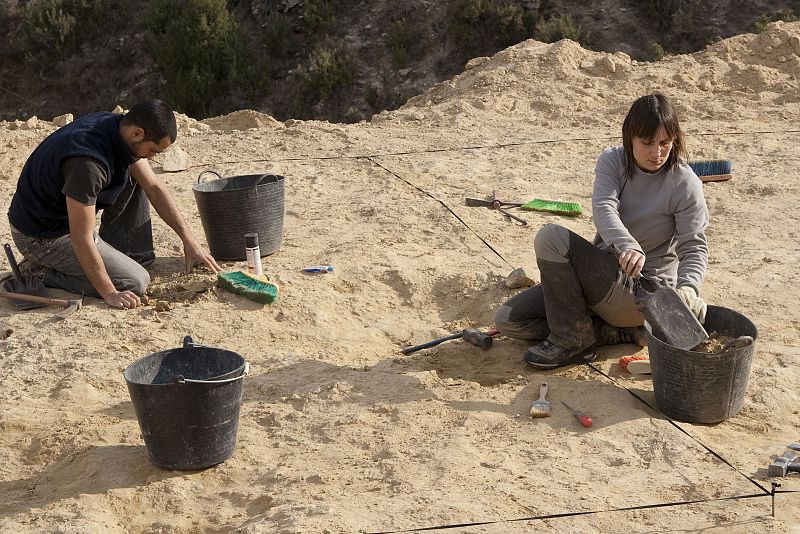 Dos excavadores analizan uno de los terrenos marcados para la recuperación de fósiles en Dinópolis (Teruel)