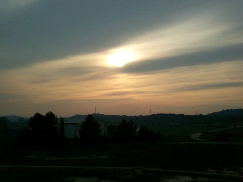 Concurso Emilie Sandé