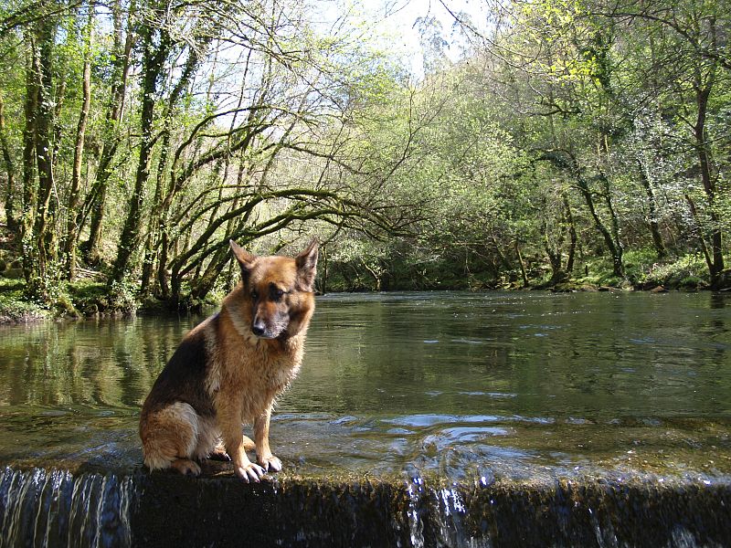 Viaje Londres EMELí SANDE