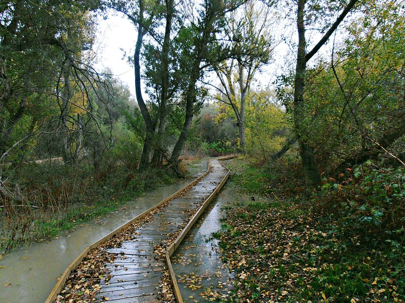 Reserva Natural Sotos del Ebro en Alfaro La Rioja