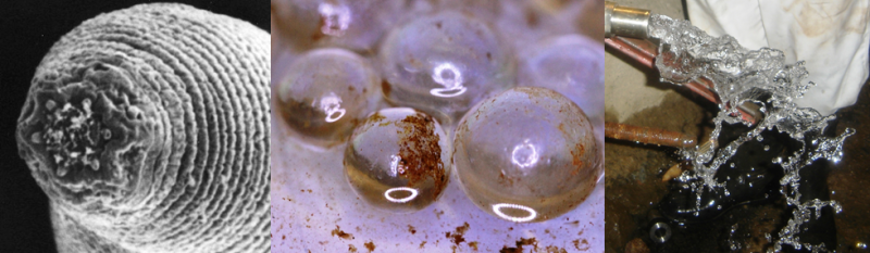 El 'gusano del diablo', localizado a 1,3 kilómetros de profundidad en una mina de Sudáfrica