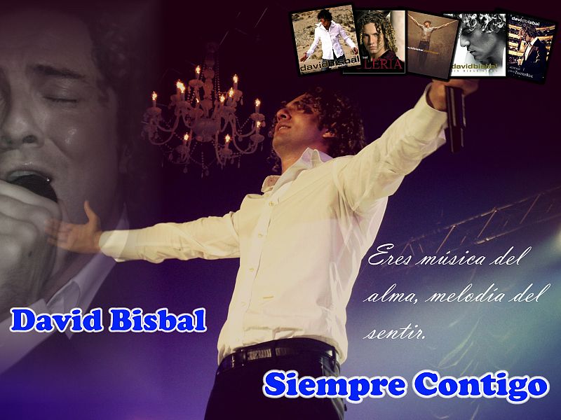 Homenaje David Bisbal
