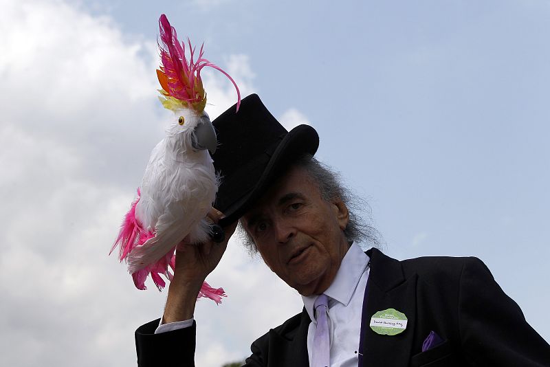 Los caballeros, según las normas de protocolo, deben  acudir con un sombrero negro o gris... Alguno quiso adornarse un poquito más