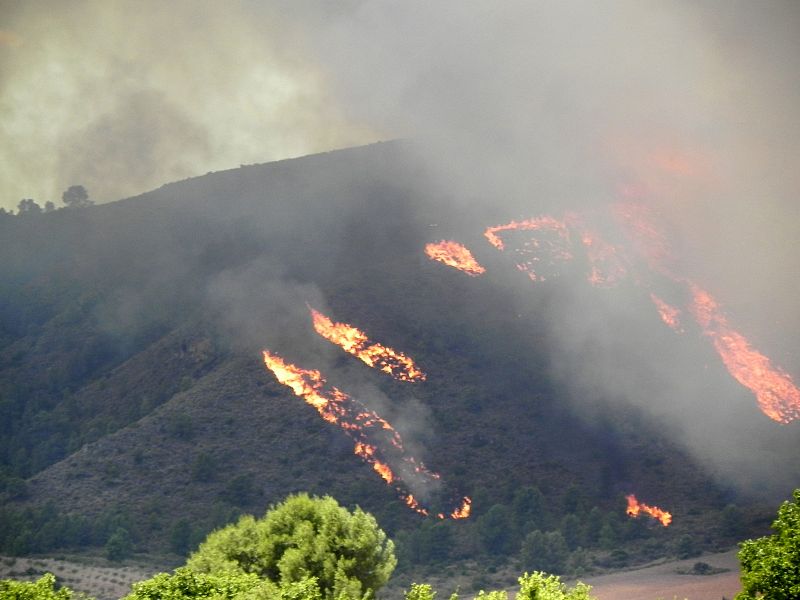 INCENDIO FORESTAL EN HELLÍN