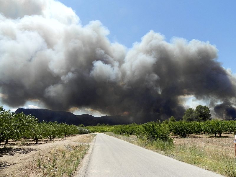 INCENDIO FORESTAL EN HELLÍN