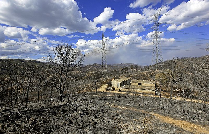 INCENDIO FORESTAL EN CORTES DE PALLÁS, VALENCIA