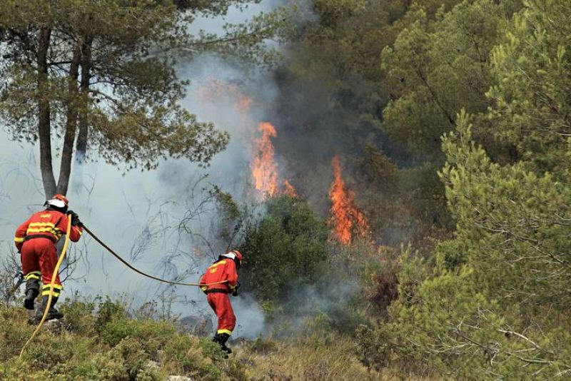 INCENDIO FORESTAL