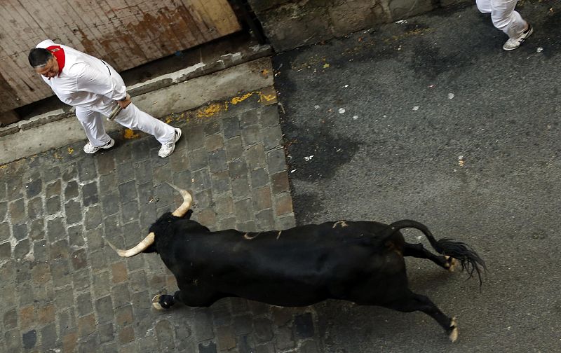 Uno de los morlacos negros ha fijado su mirada en este despistado mozo.
