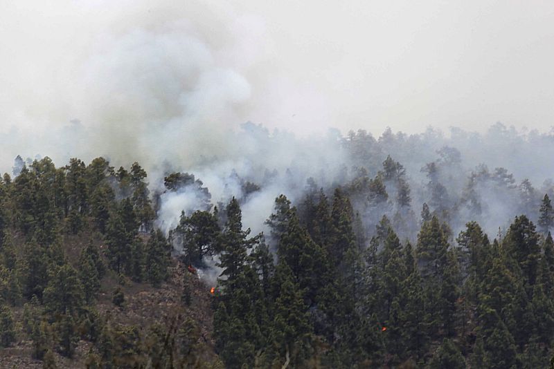 Incendio en Tenerife