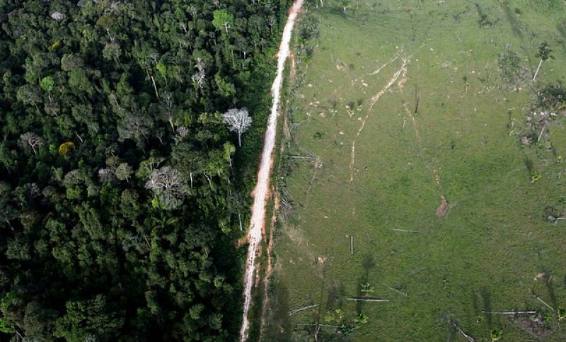 Vista aérea que muestra la deforestación ilegal cerca del Parque Nacional de la Amazonia en Itaituba. 25 de mayo 2012