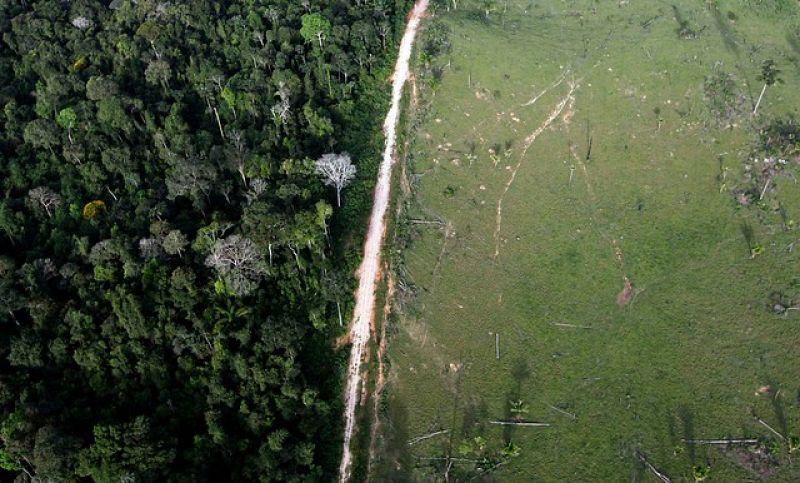 Vista aérea que muestra la deforestación ilegal cerca del Parque Nacional de la Amazonia en Itaituba. 25 de mayo 2012