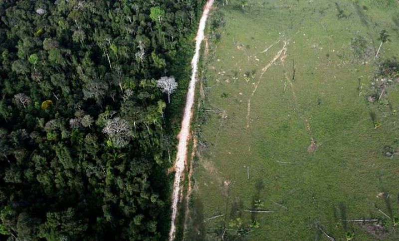Vista aérea que muestra la deforestación ilegal cerca del Parque Nacional de la Amazonia en Itaituba. 25 de mayo 2012