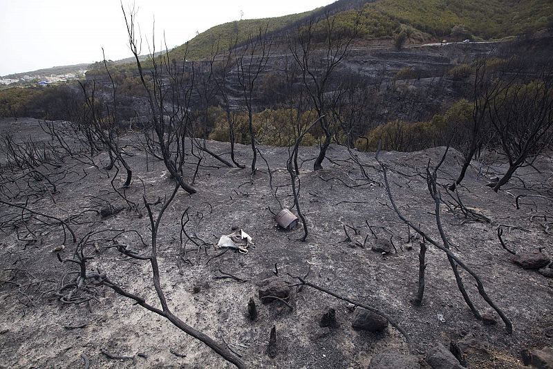 Efecto del incendio que ha afectado al pueblo de Erjos en el municipio de El Tanque, en Tenerife