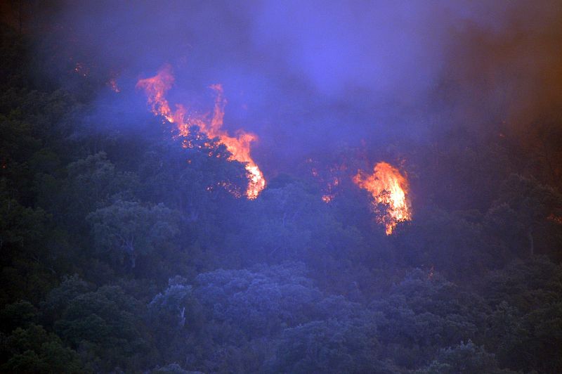 El fuego quema parte del Parque Nacional de Cabañeros, en Navas de Estena, en Ciudad Real