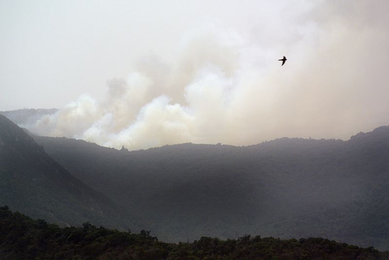 Vista del incendio forestal de la isla de La Gomera que ha tenido tres frentes activos y cuyo control se ha visto dificultado por vientos de hasta 50 kilometros por hora