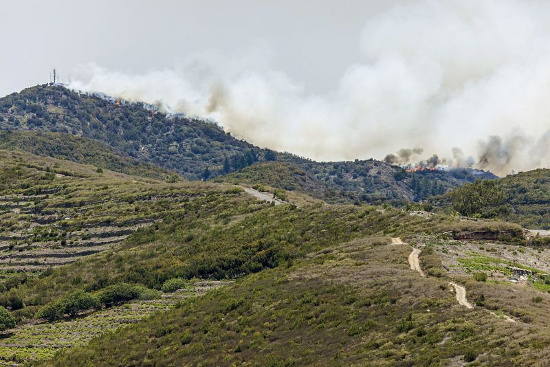 Uno de los tres frentes del fuego de La Gomera visto desde la localidad de Arure