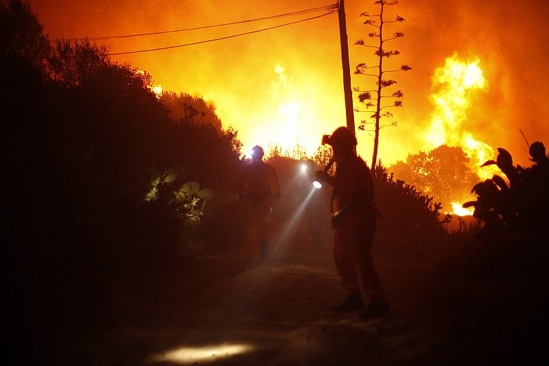 Miembros de Proteccion Civil trabajan en la busqueda de personas durante la evacuacion general de una zona residencial en Elviria, Malaga