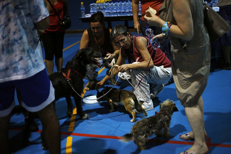 Mujeres dan de beber a sus perros en el polideportivo de Las Lagunas, donde fueron evacuadas varias personas por el incendio declarado en la sierra malagueña