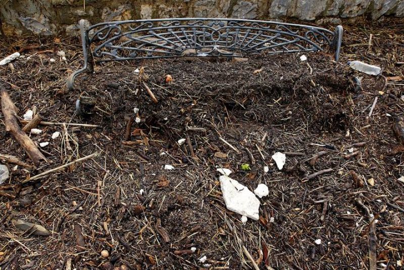 BANCO CUBIERTO CON RESTOS DE CAÑAS Y TIERRA TRAS LAS INUNDACIONES