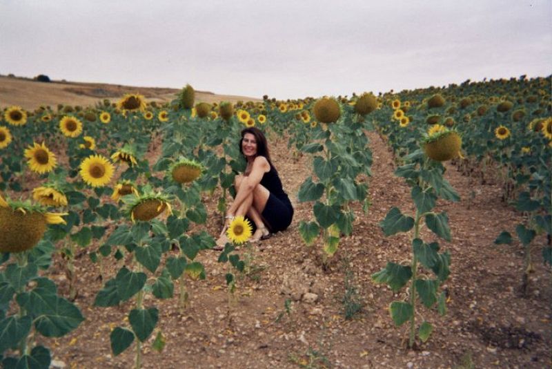 SOÑANDO ENTRE GIRASOLES