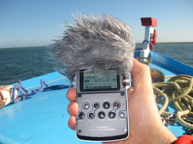 Así grabamos el sonido ambiente de la Ría Formosa