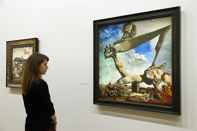 A visitor looks at paintings by Spanish artist Salvador Dali during the press visit of the exhibition "Dali" at the Centre Pompidou modern art museum in Paris