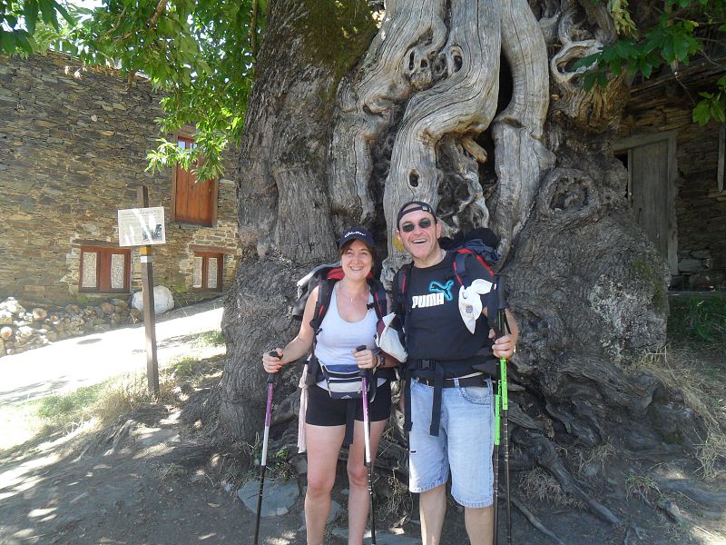 CAMINO DE SANTIAGO