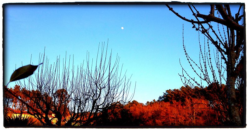 Luna llena, cielo azul y rojo otoño