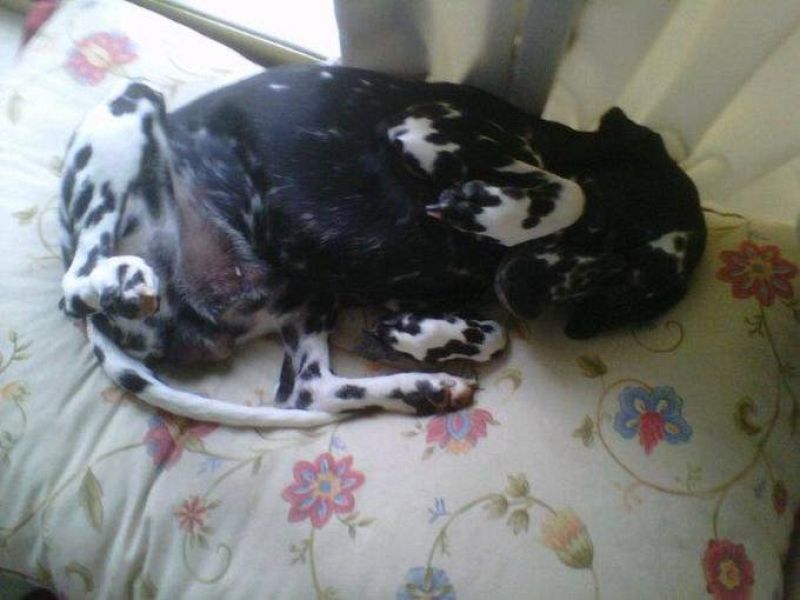 Lo que me alegra cada día de mi vida