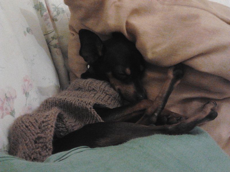 Soñando tranquilidad