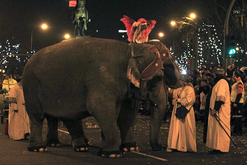 Los elefantes desfilan en Madrid en la cabalgata de Reyes