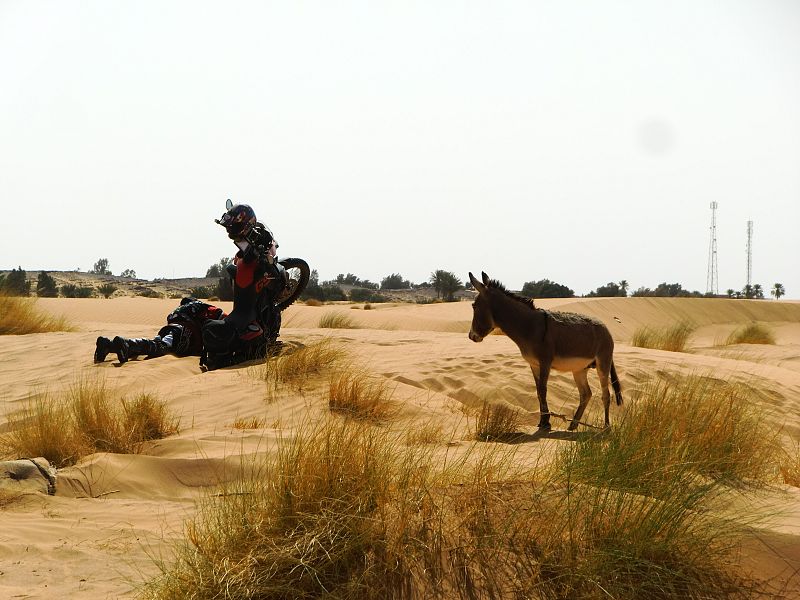 Marruecos